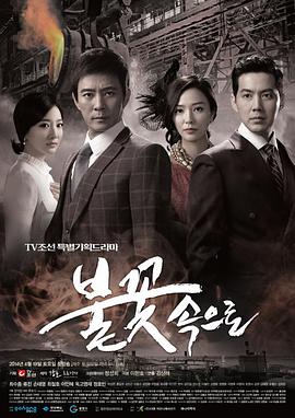 小说网站网站优化方案